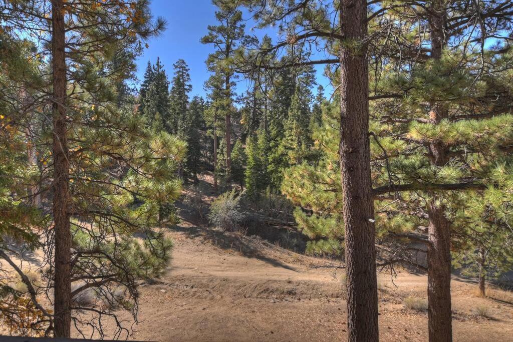 Everwood Serenity Treehouse Ontrail Head/Sledding Villa Big Bear Lake Luaran gambar